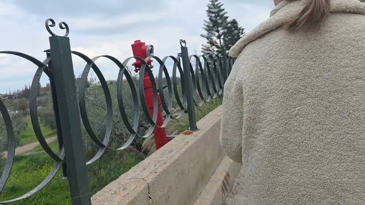 Peaceful Walk in Latrun, Israel/Monastery/Nature and Wine Shop#walkingvideo 