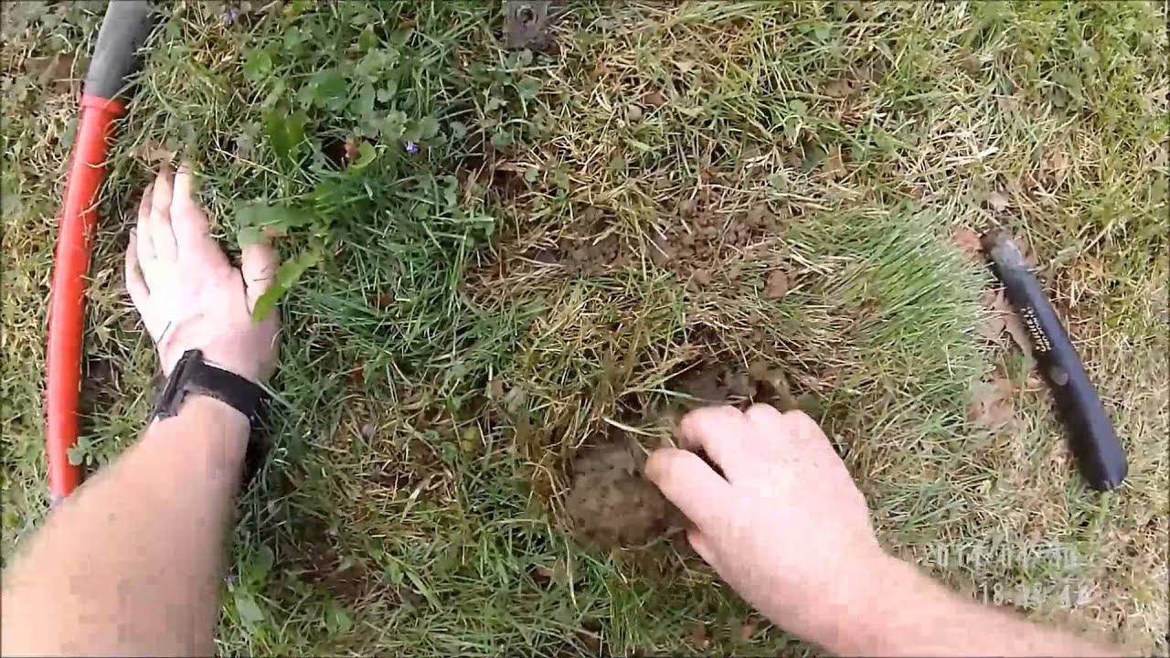 Mark Wegman Detecting with Whites 6000 DI Pro SL