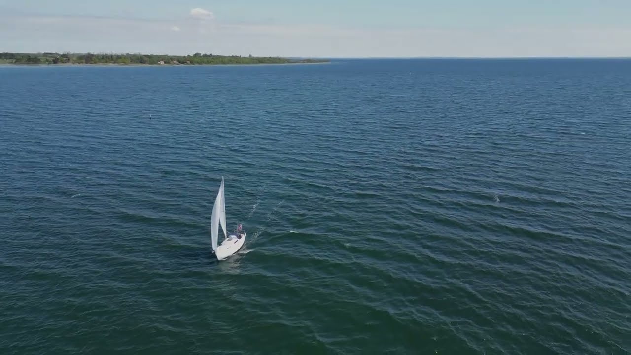 Albin Vega sailing 2025