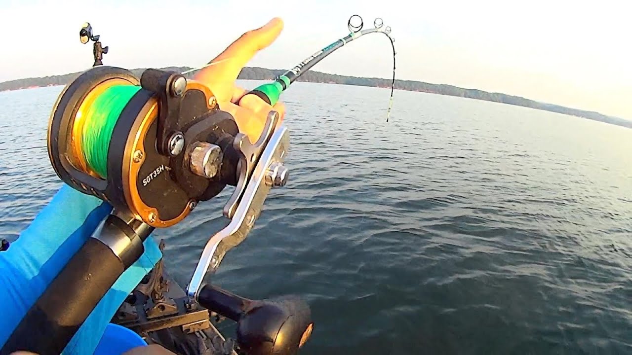 The Big Fish Bite