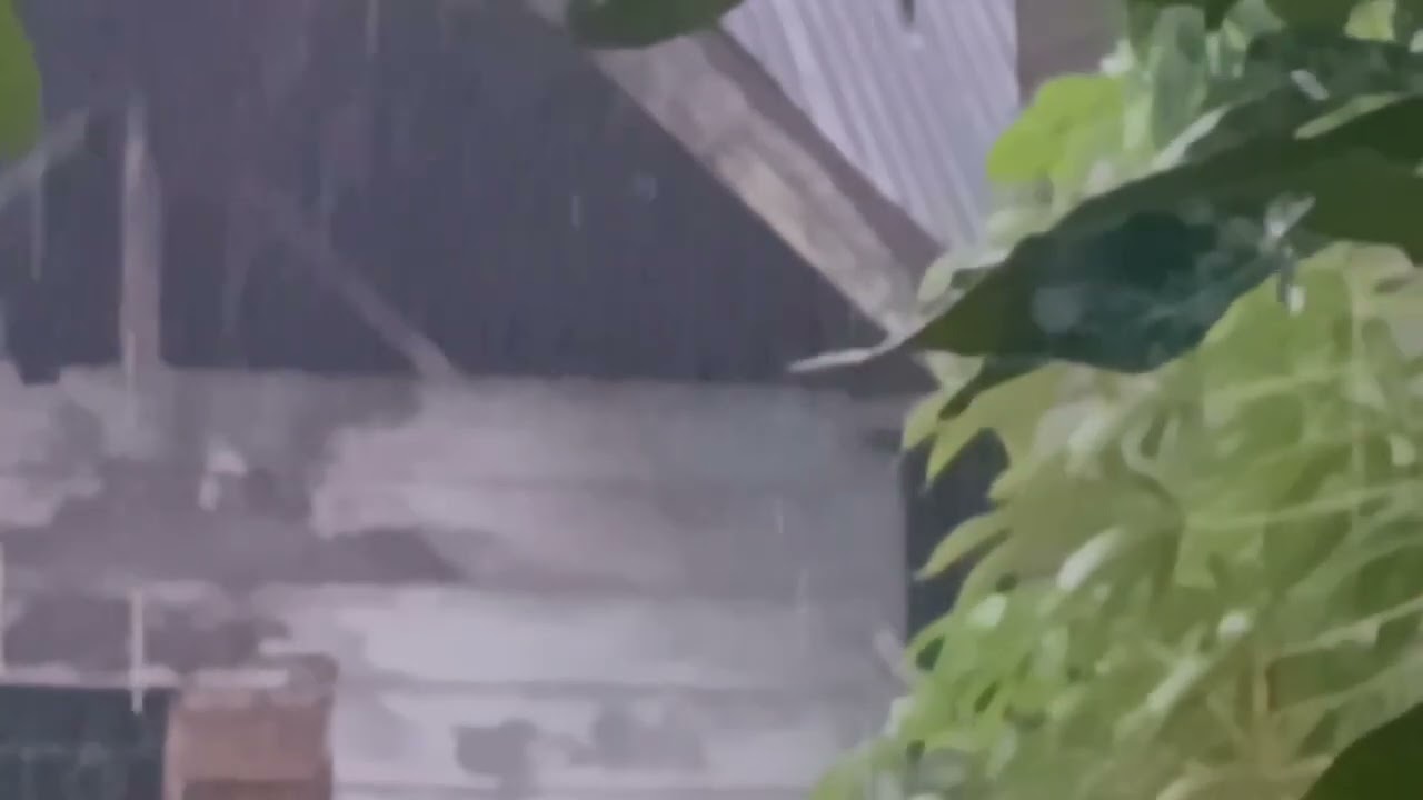 Focus & Productivity: Rain on Tin Roof Background Noise with Distant Thunder Sounds