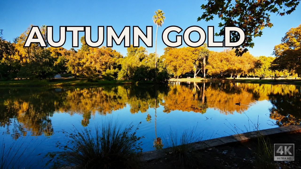 The Most Peaceful Morning in Perth (Hyde Park Autumn Walk)