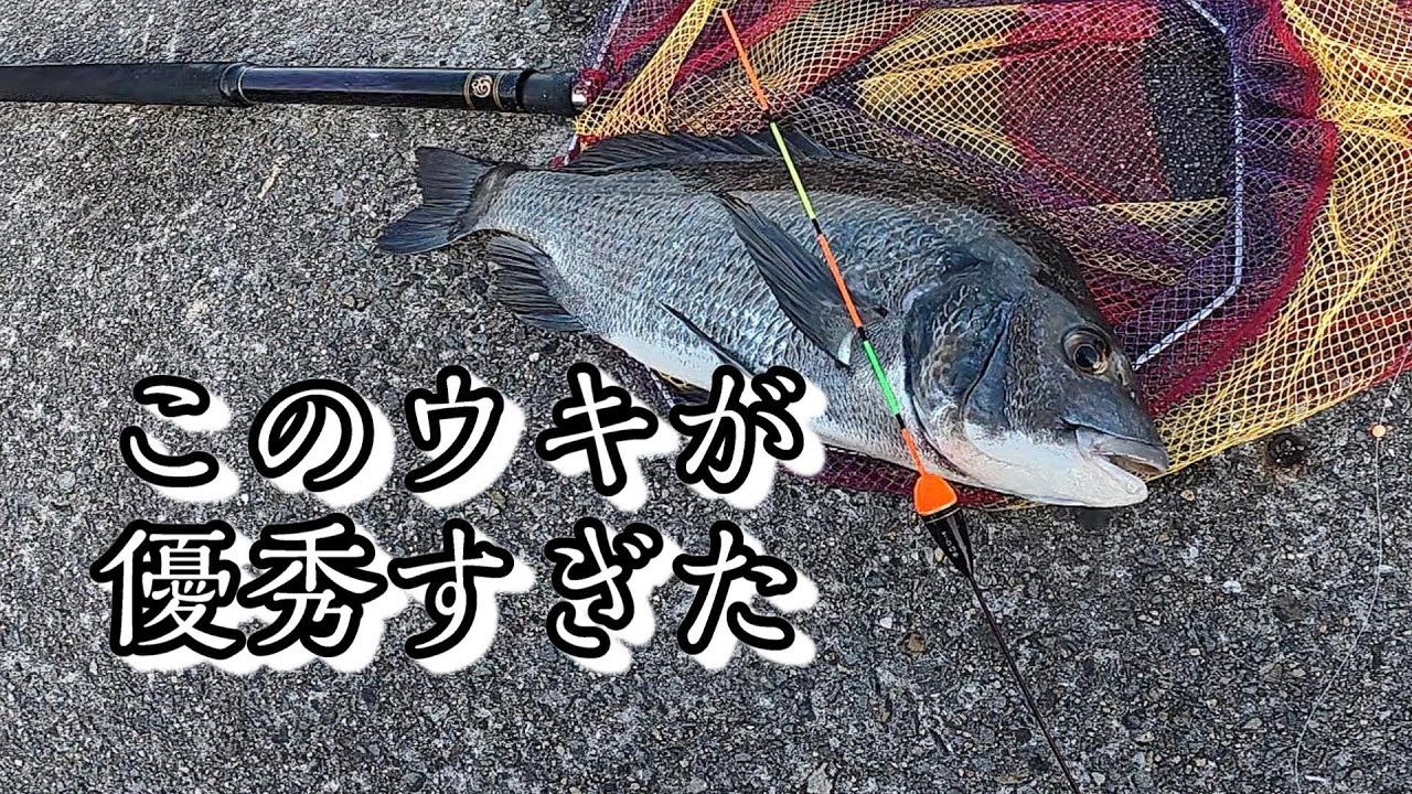 遠矢の反応が凄すぎて、感動すら覚える