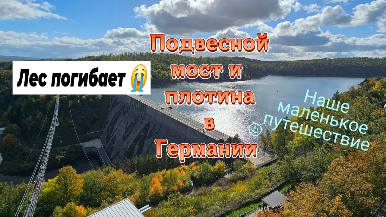 Гарц (Harz)./Подвесной мост/плотина/что с лесом?