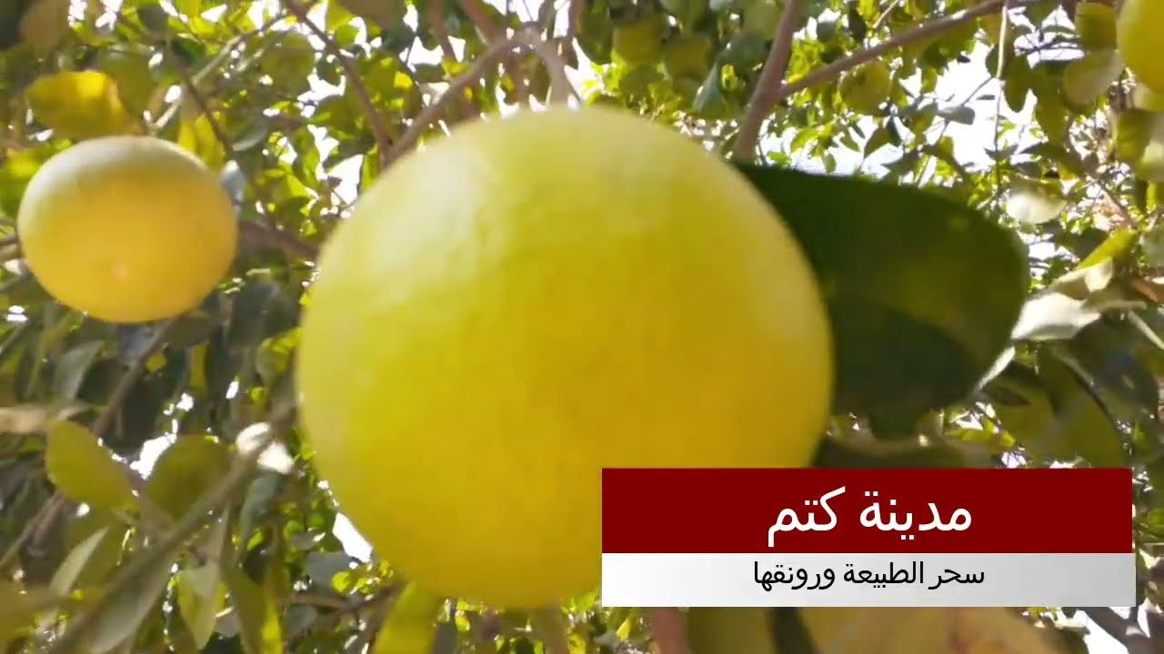 جمال طبيعة مدينة كتم