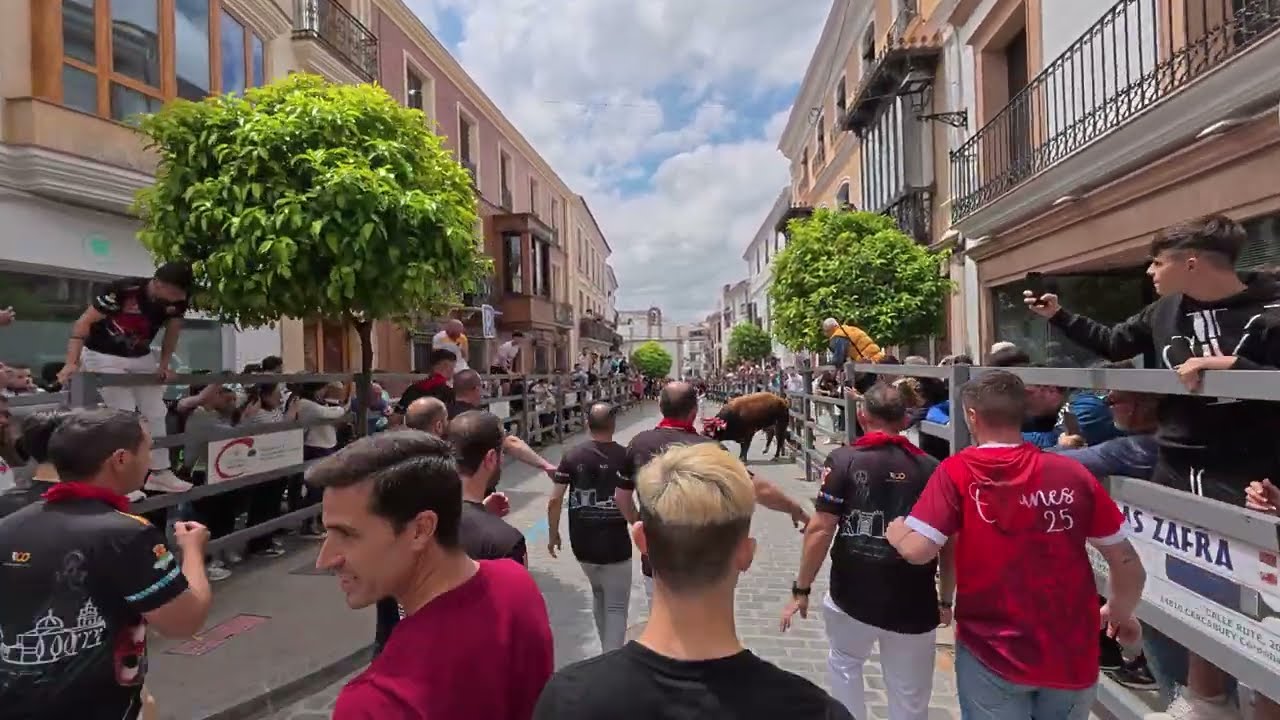 400 Aniversario Toro de cuerda Carcabuey Torico de Chivas 1625/2025