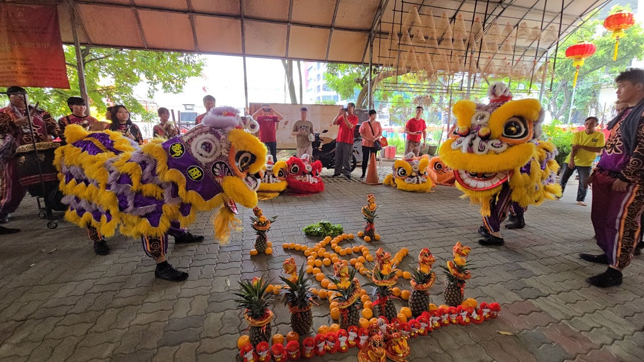 新加坡汶詠龍狮團 Singapore Wen Yong Dragon & Lion Dance Performances at 三巴旺天后宫 29/01/25