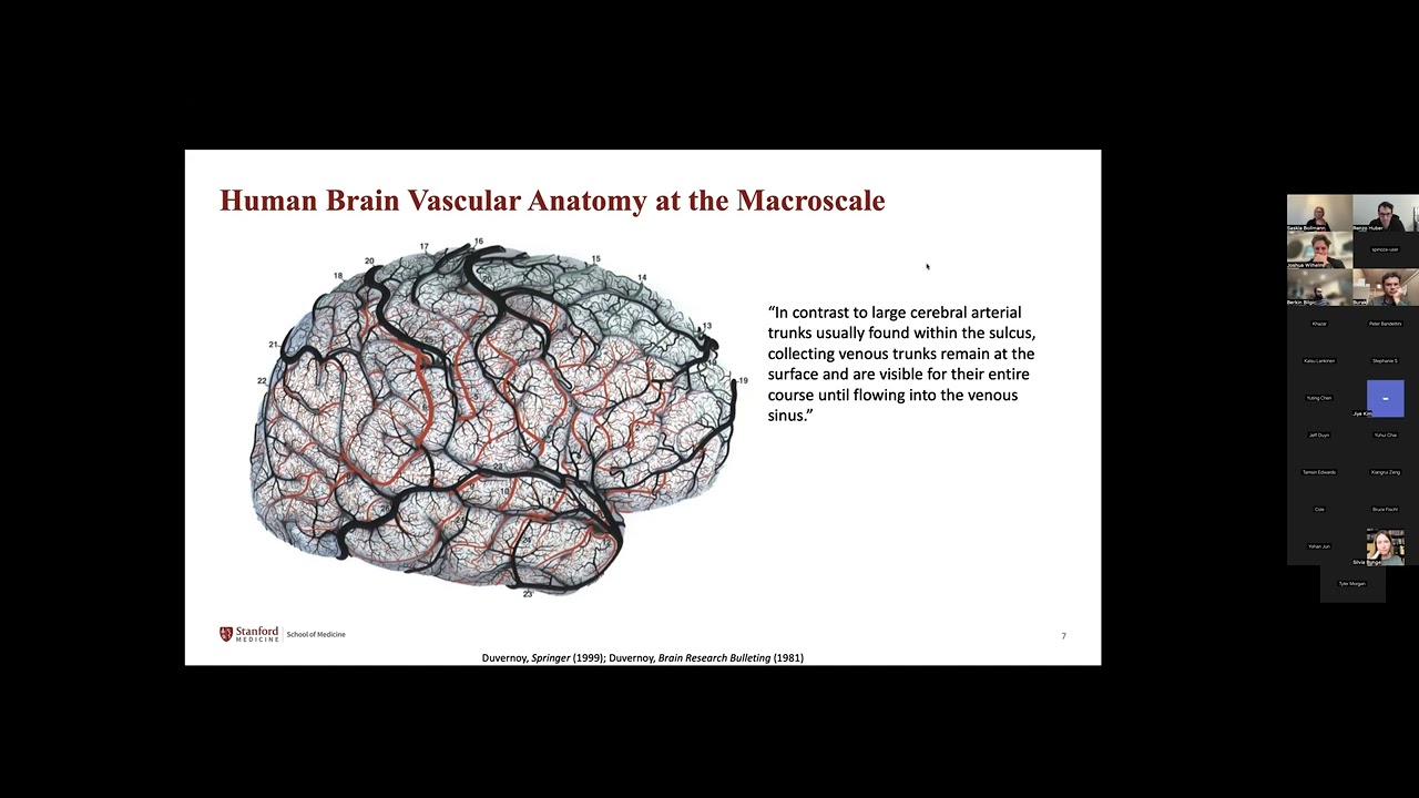 Saskia Bollman Towards Quantitative Analysis of Vascular Characteristics in the Human Brain