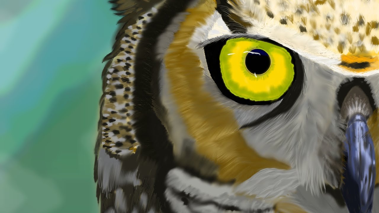 My 6th drawing