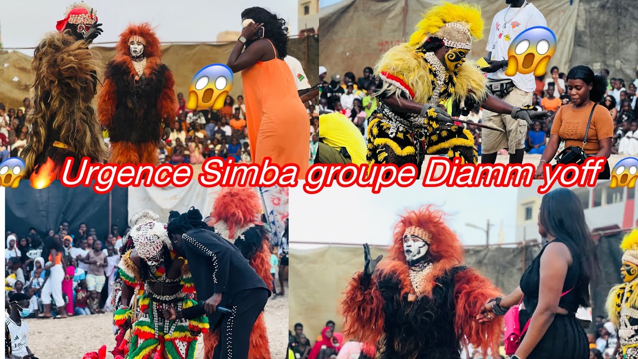 🚨😱🔥URGENCE 😱 Allahou Akbar😱Simba FAUX LION 🦁 😱GROUPE DIAMM YOFF 6 jour 😱Regarde les surprises 😱🔥👈