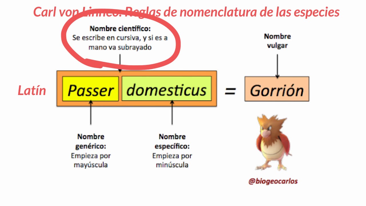 Taxonomía de los seres vivos - 1ESO