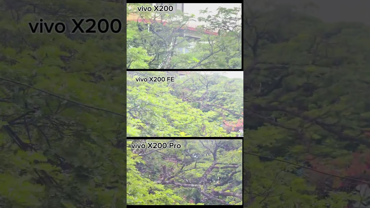 ViVo X200 FE Vs Vivo X200 Vs X200 Pro ultimate camera Testing photography testing Video testing