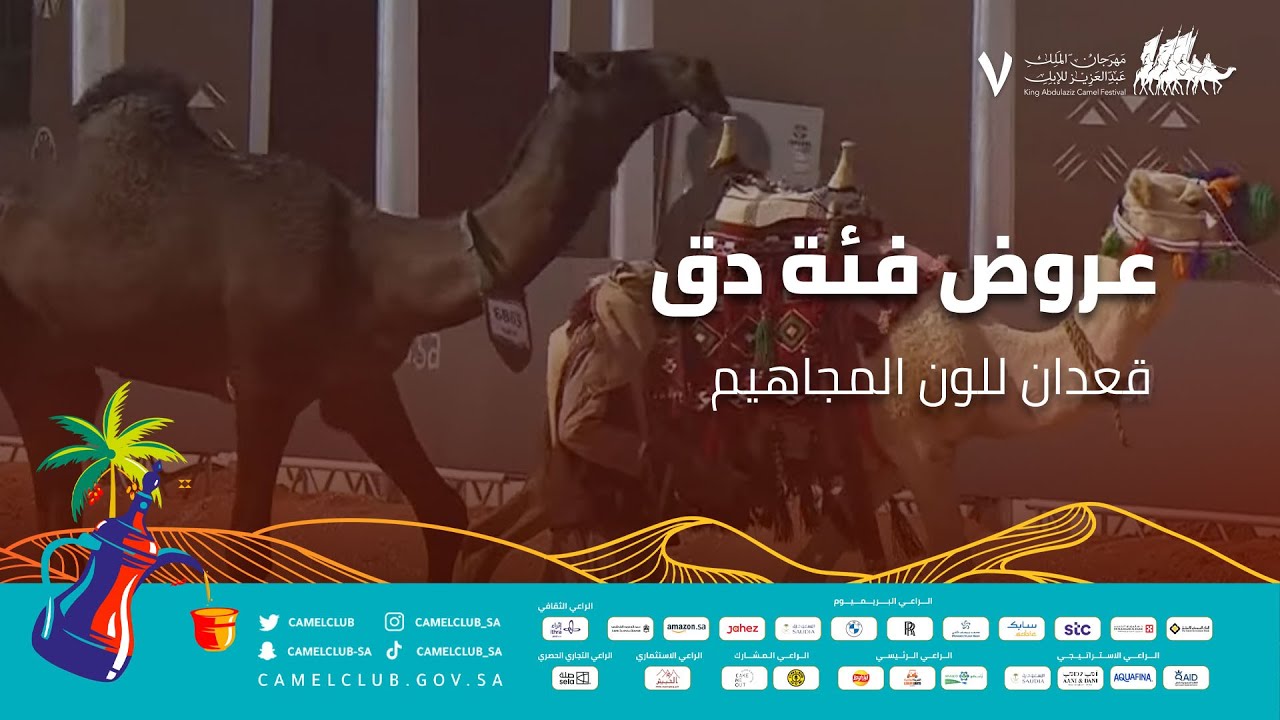عروض فئة دق  - قعدان للون المجاهيم