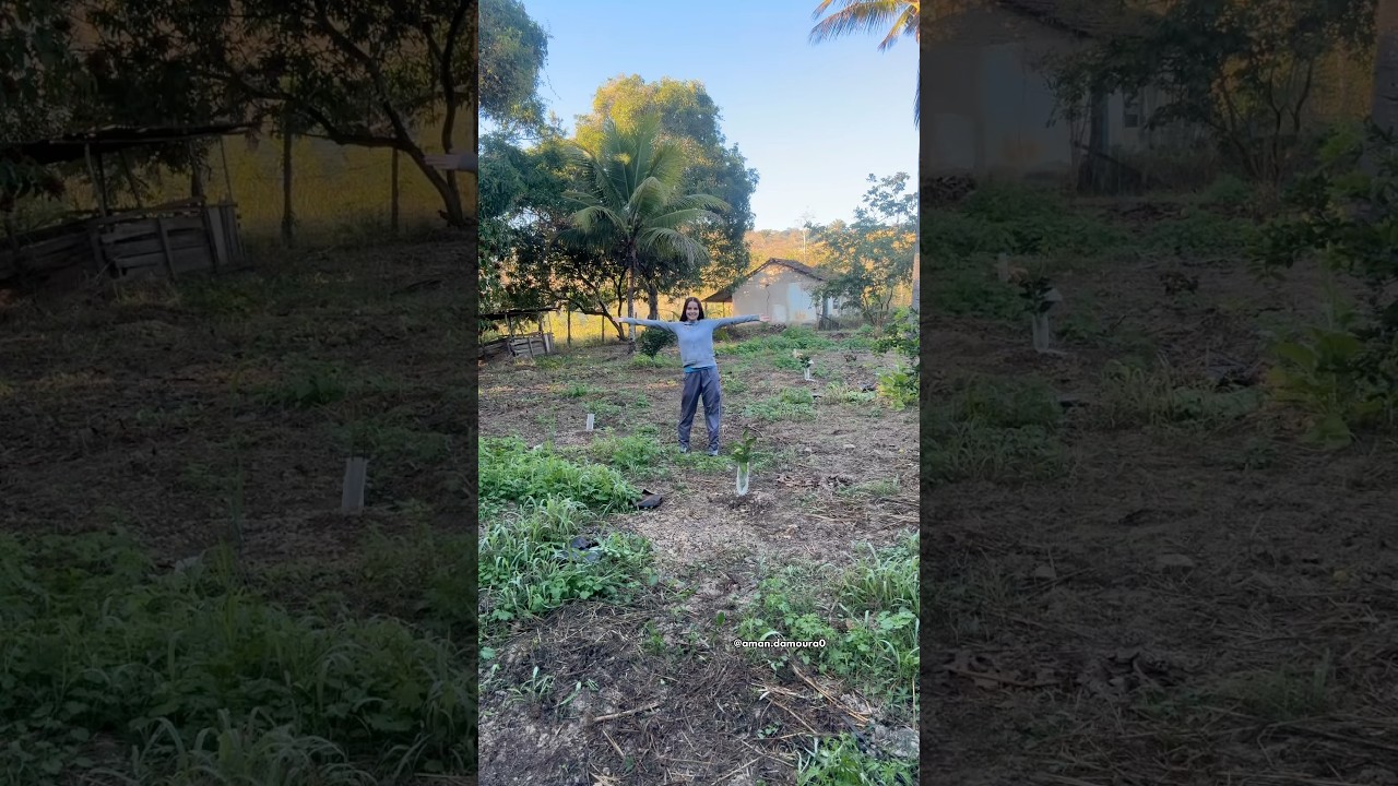 Nosso pomar aqui na ro&ccedil;a est&aacute; tomando forma! 🏡 #plantas #ro&ccedil;a #pomar #roca