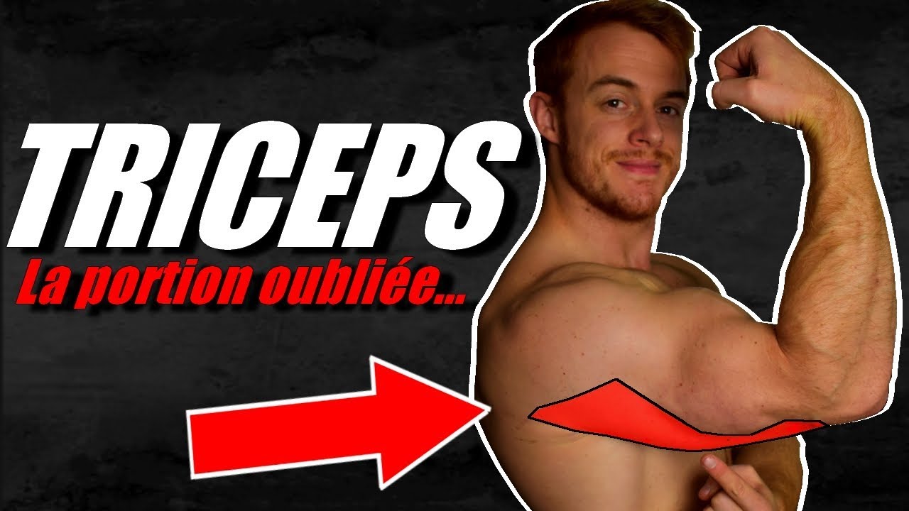 Longue Portion des TRICEPS = Secret des Gros Bras