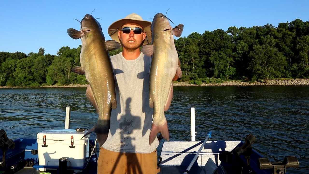 JUG Fishing Spawning CATFISH- Filling the COOLER   (Catch Clean)