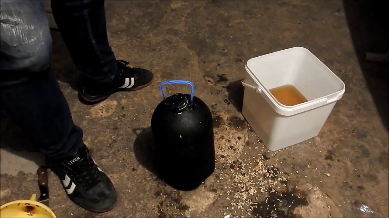How to make mycorrhizal fungi for plants.Fast, efficient way for $ 2