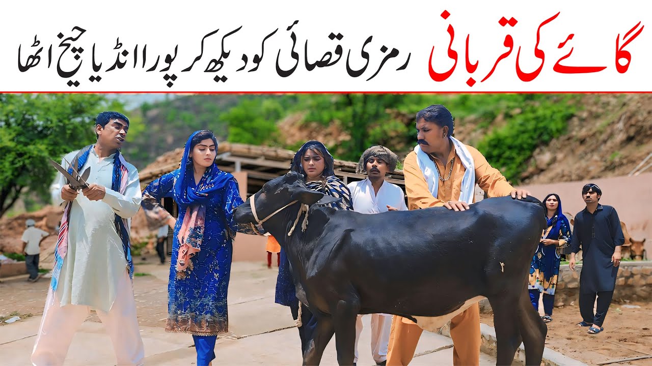 Eid Mubarak 2025 | Ramzi,Noori, Bilo ,Bhootna,Shoki, Sanam, Falak Sher,Funny Video  Rachnavi Tv