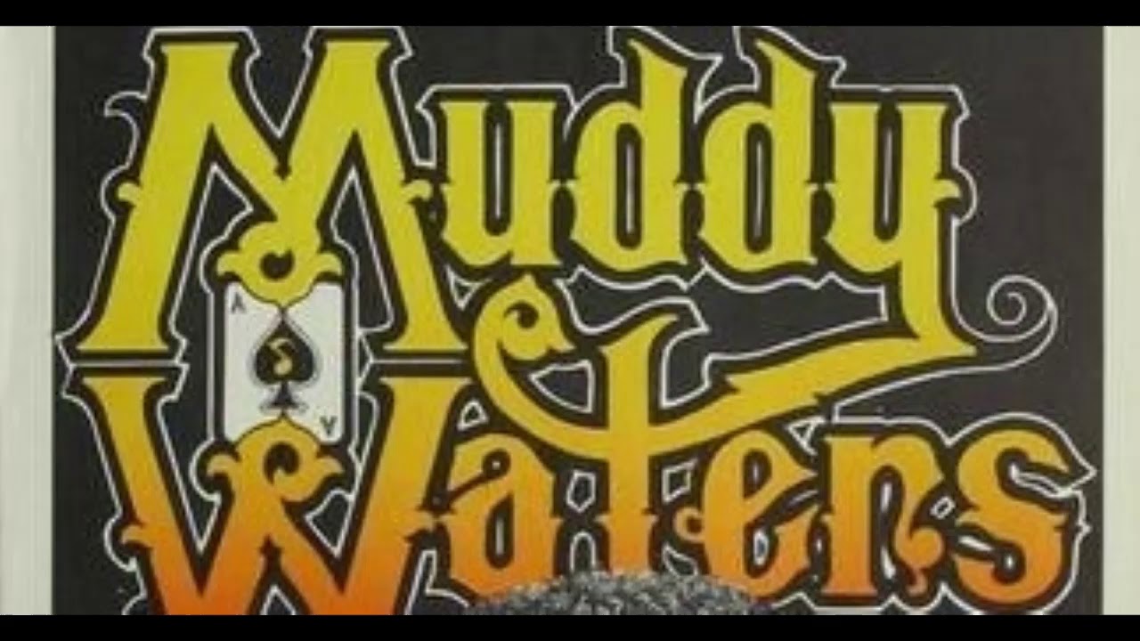 Dust my Broom - Muddy Waters en vivo