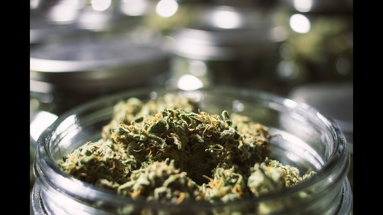 Taxes in the Cannabis Industry