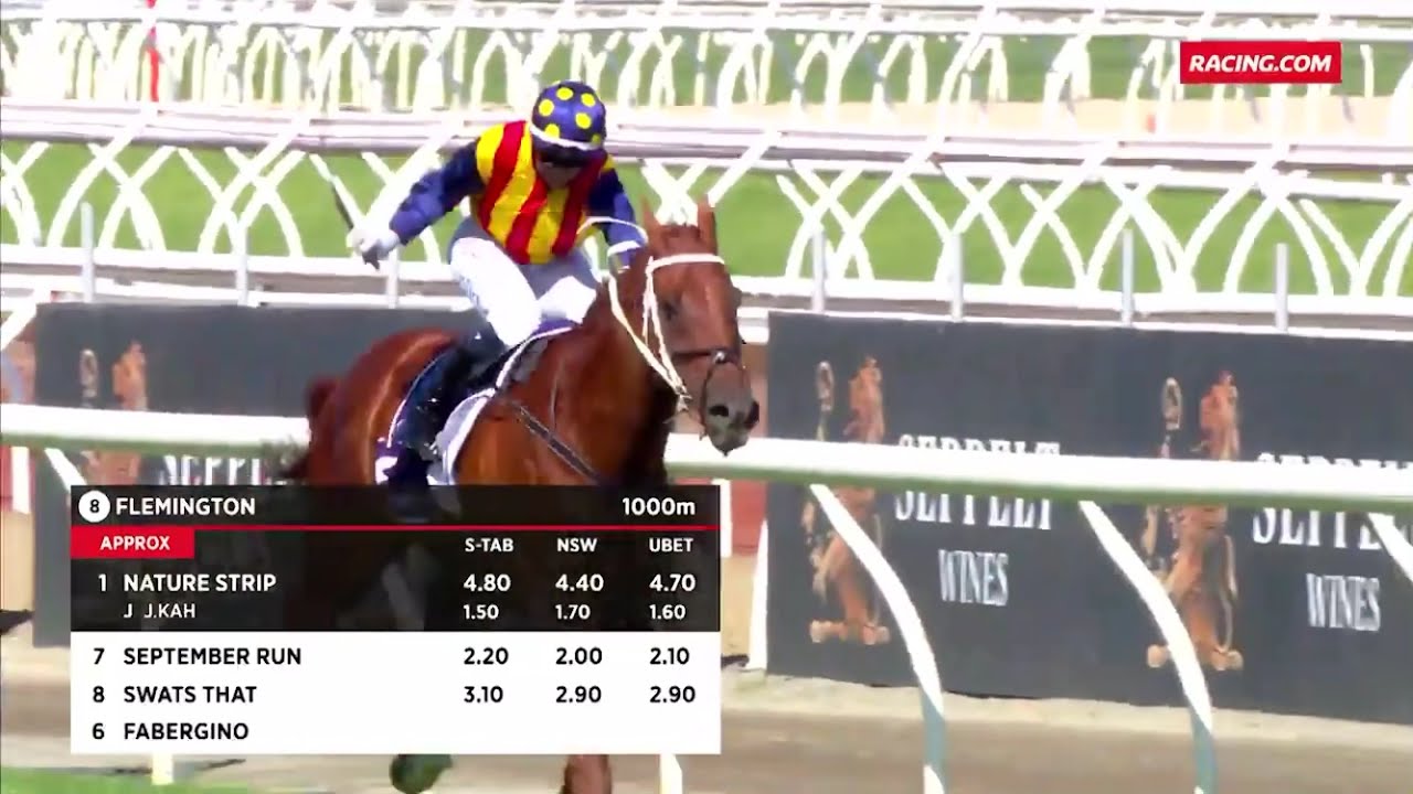 2021 Black Caviar Lightning Stakes - Nature Strip