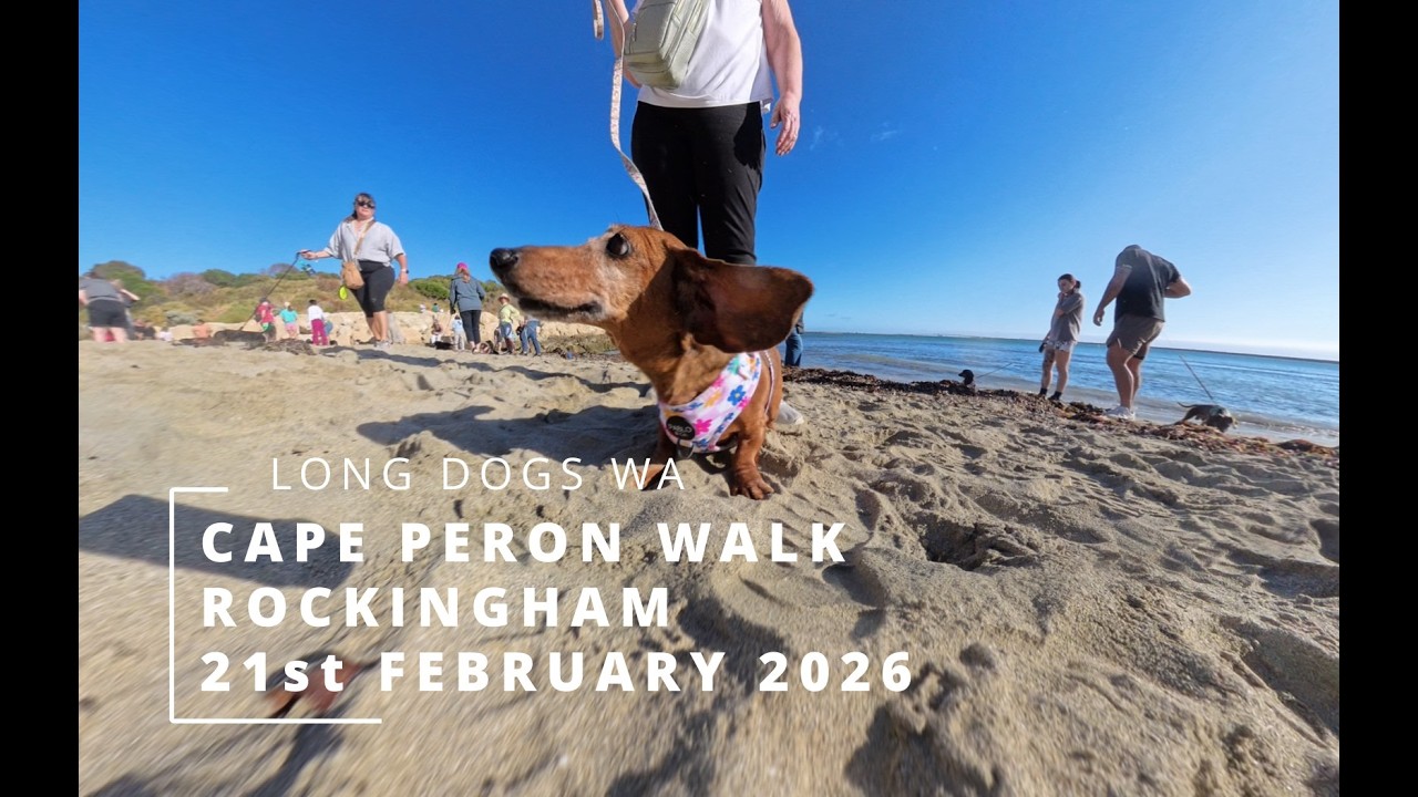 Long Dogs WA - February 2026 - Cape Peron Rockingham Walk