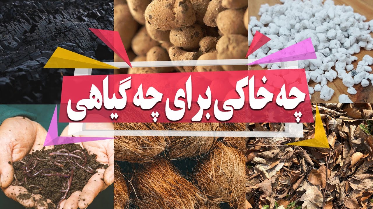 انواع خاک مناسب هر گیاه و کاربرد آن‌ها