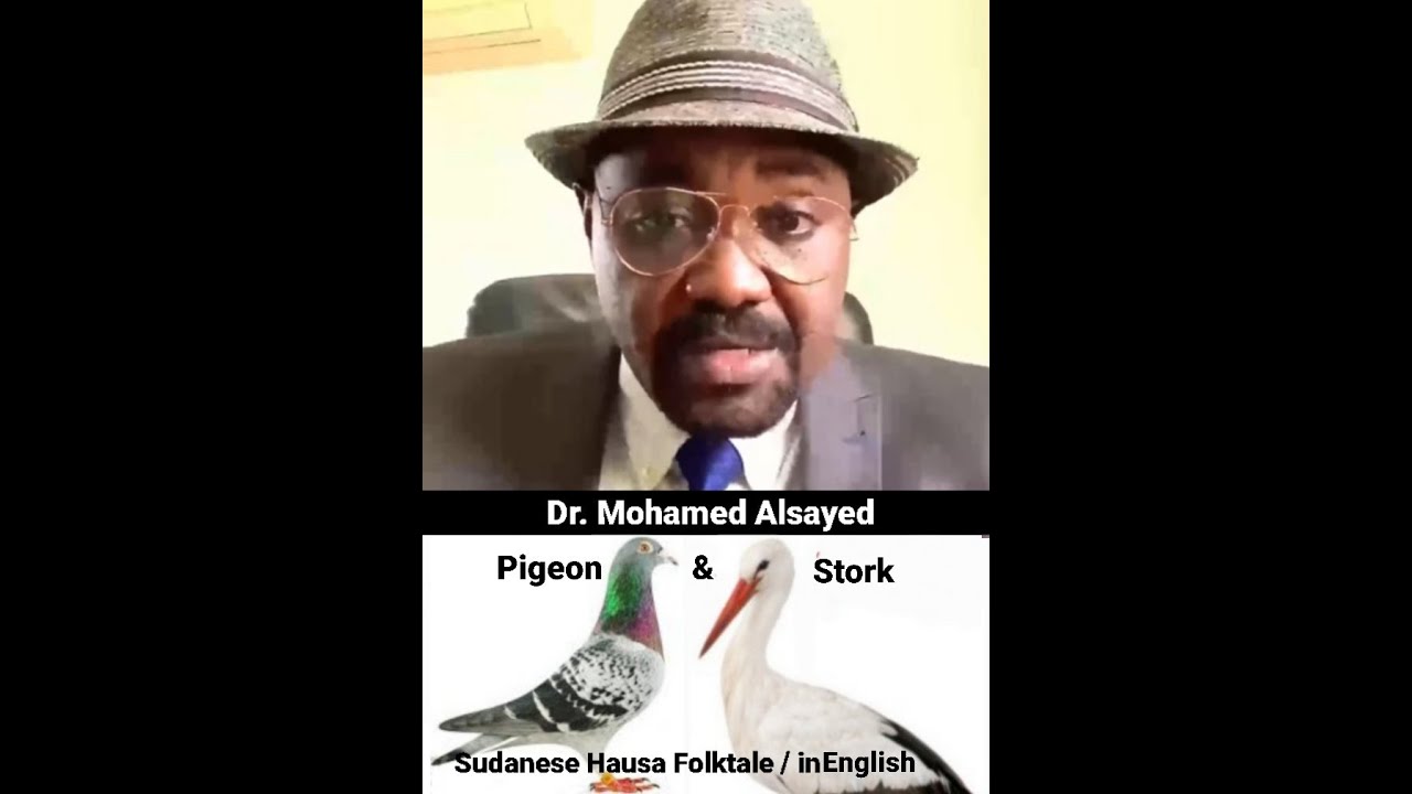 Pigeon & Stork | Sudanese Hausa Folktale