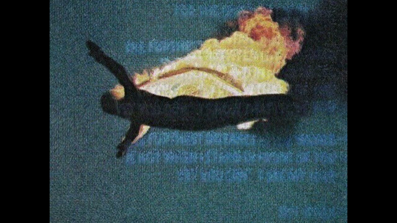 [FREE]~Femtogo & Jolagreen23 type beat