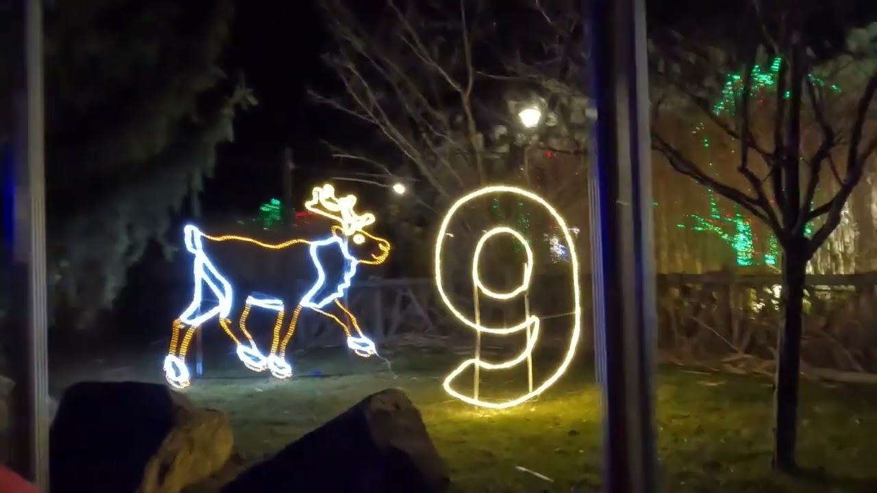 12 Days of Christmas Wildlights Train Ride at the Columbus Zoo and Aquarium Ride North America Train