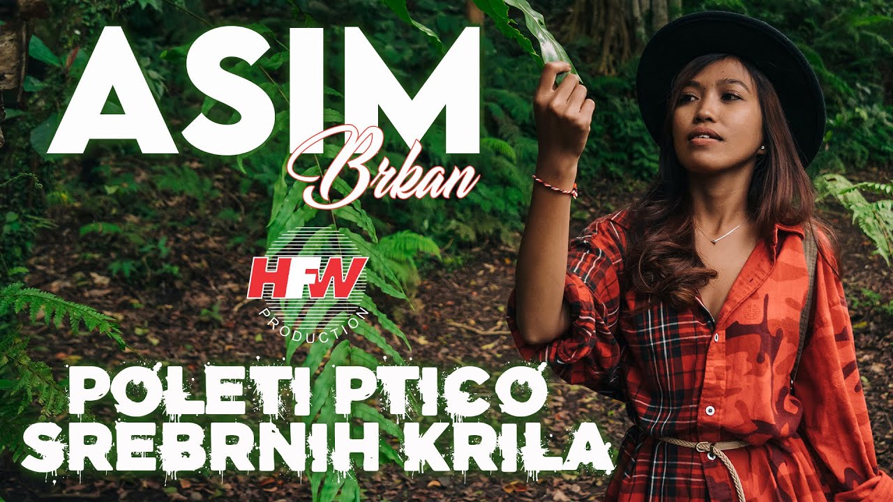 Asim Brkan - Poleti ptico srebrnih krila ( Official lyric video ) HD