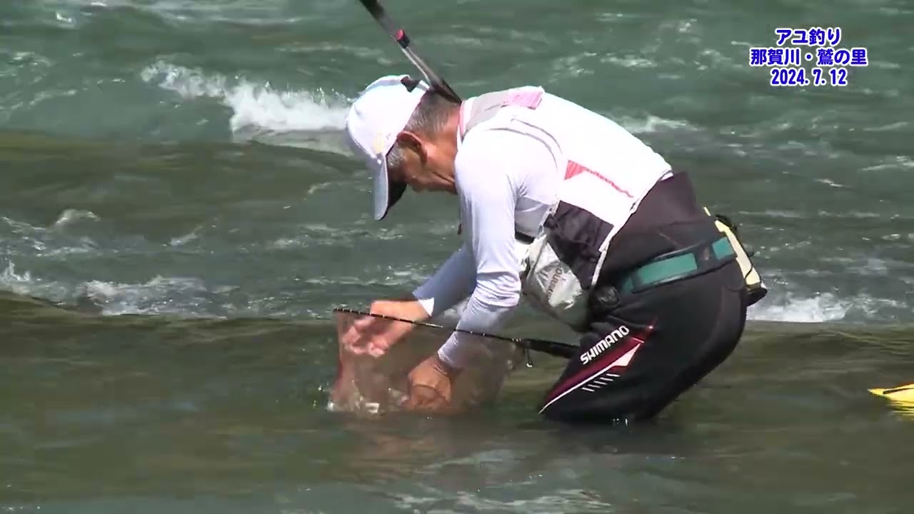 【那賀町】那賀川でのアユ釣り映像【鷲敷】