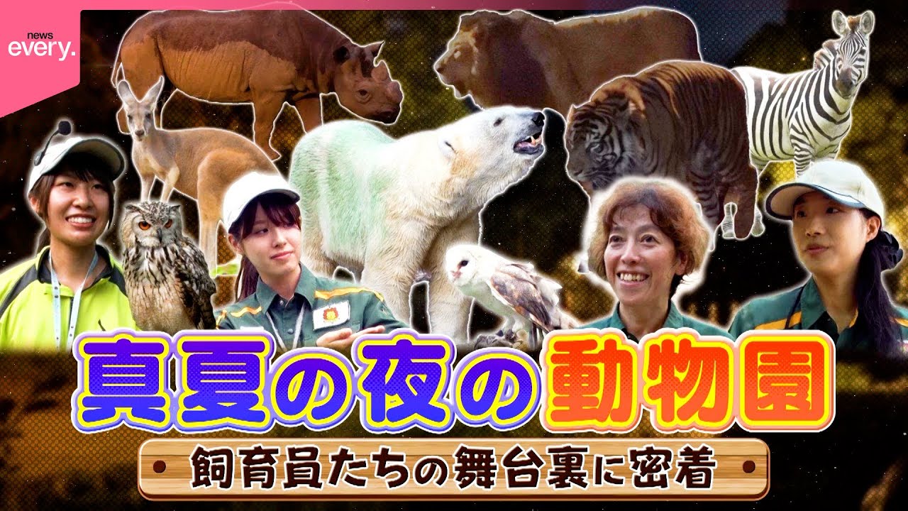 【真夏の夜の動物園】大迫力でカワイイ！開催までの知られざる裏側に密着『every.特集』