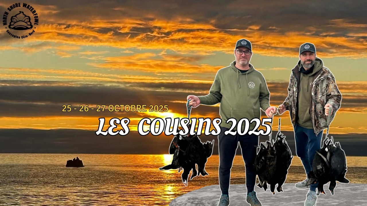 Les cousins 2025