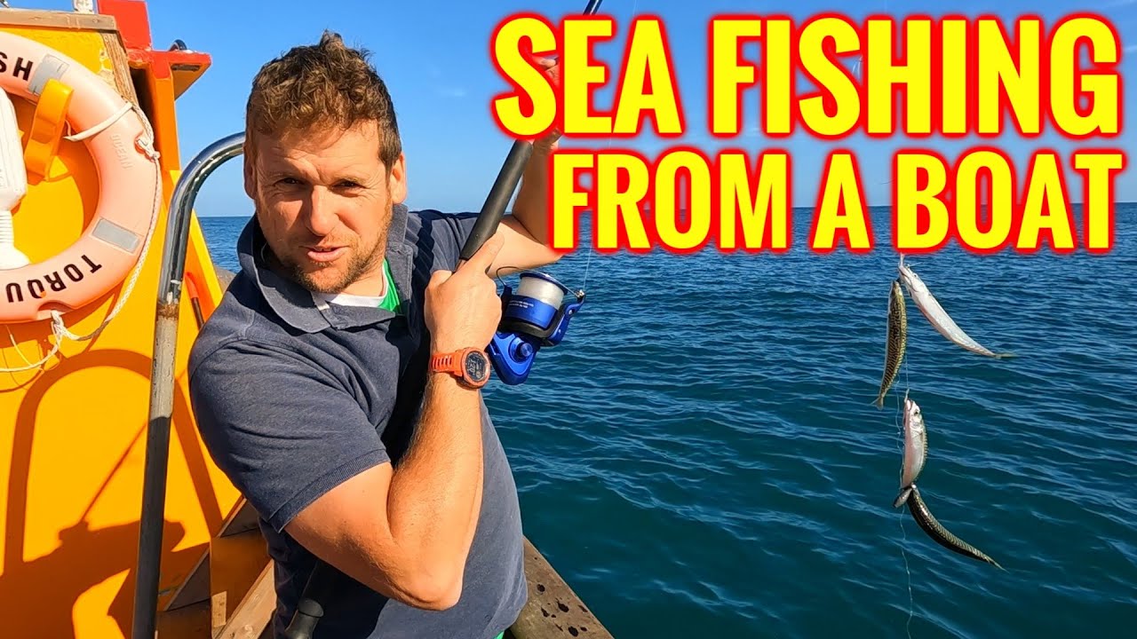 Sea Fishing Boat Trip UK - Massive VARIETY of Species - Brixham Harbour
