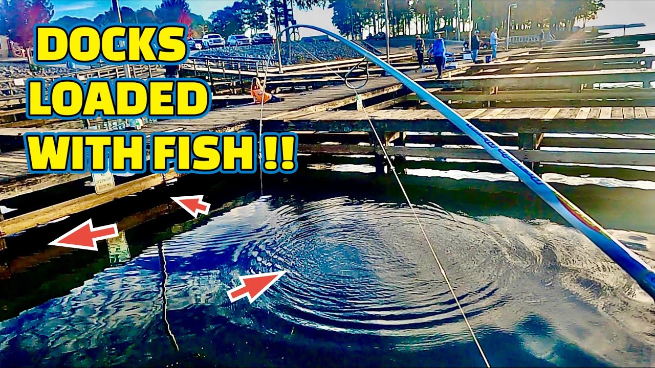 (CRAZY) CRAPPIE fishing this PUBLIC BOAT DOCK!!! Catching FISH for DINNER !!