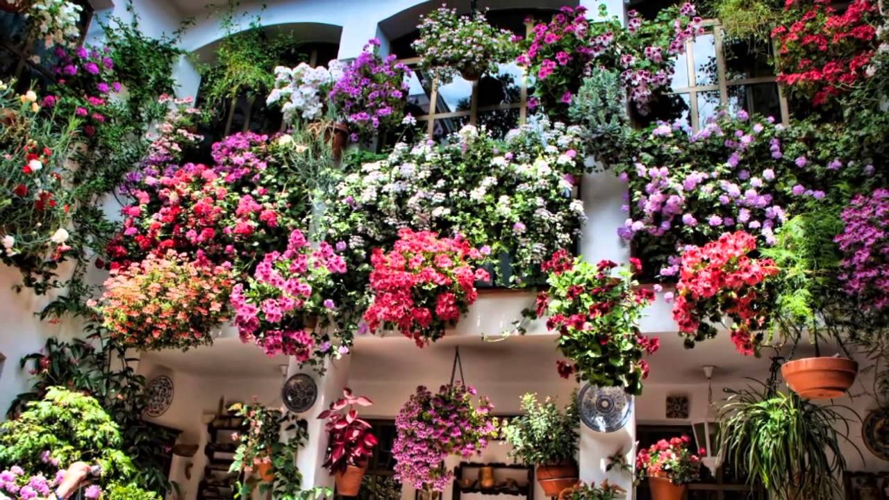 Spanish gardens