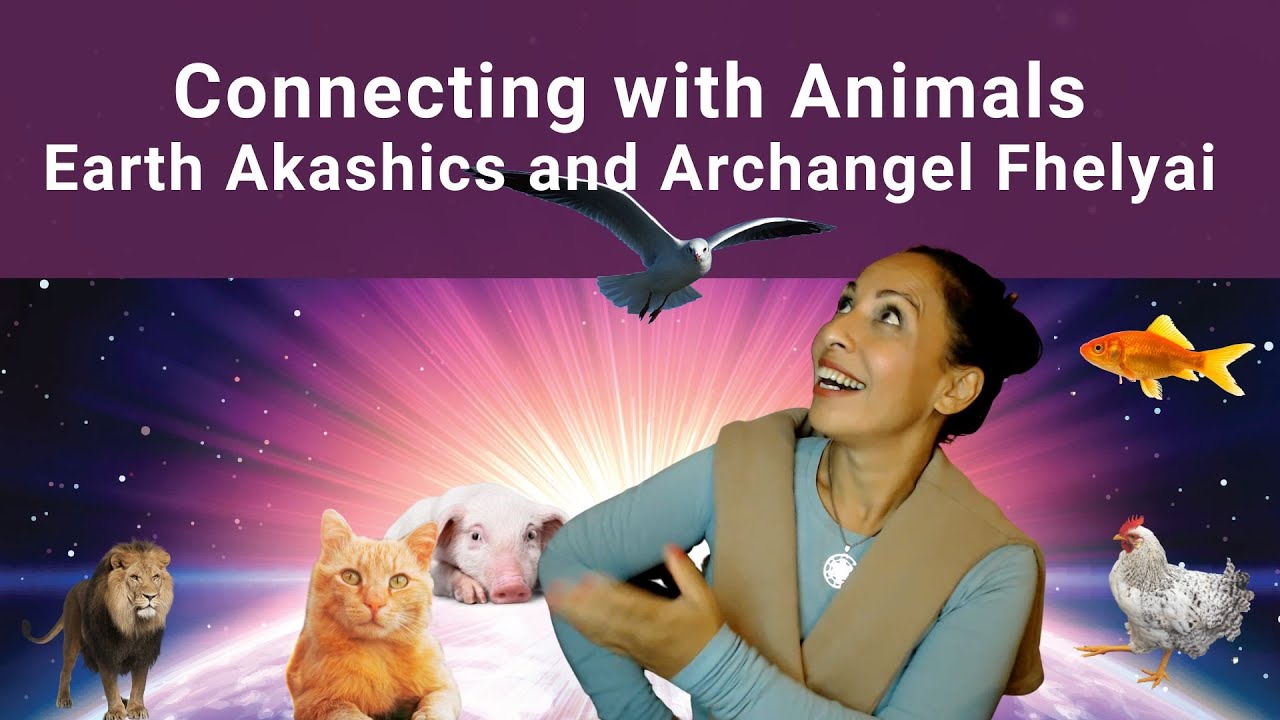 How to connect with Animals! Earth Akashics and Archangel Fhelyai