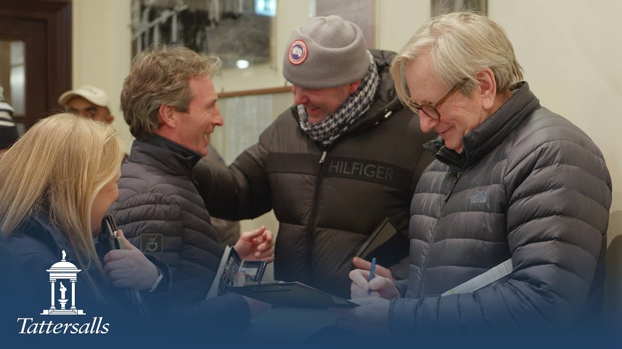 Tattersalls Craven Breeze Up Sale 2023 Review