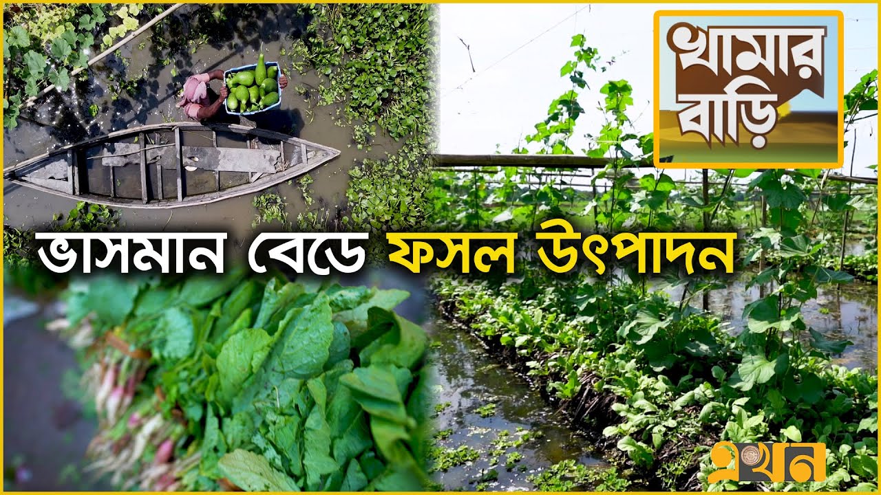 মাটি ছাড়া সবজি চাষ | Vegetable Cultivation | Khamar Bari | Ekhon TV