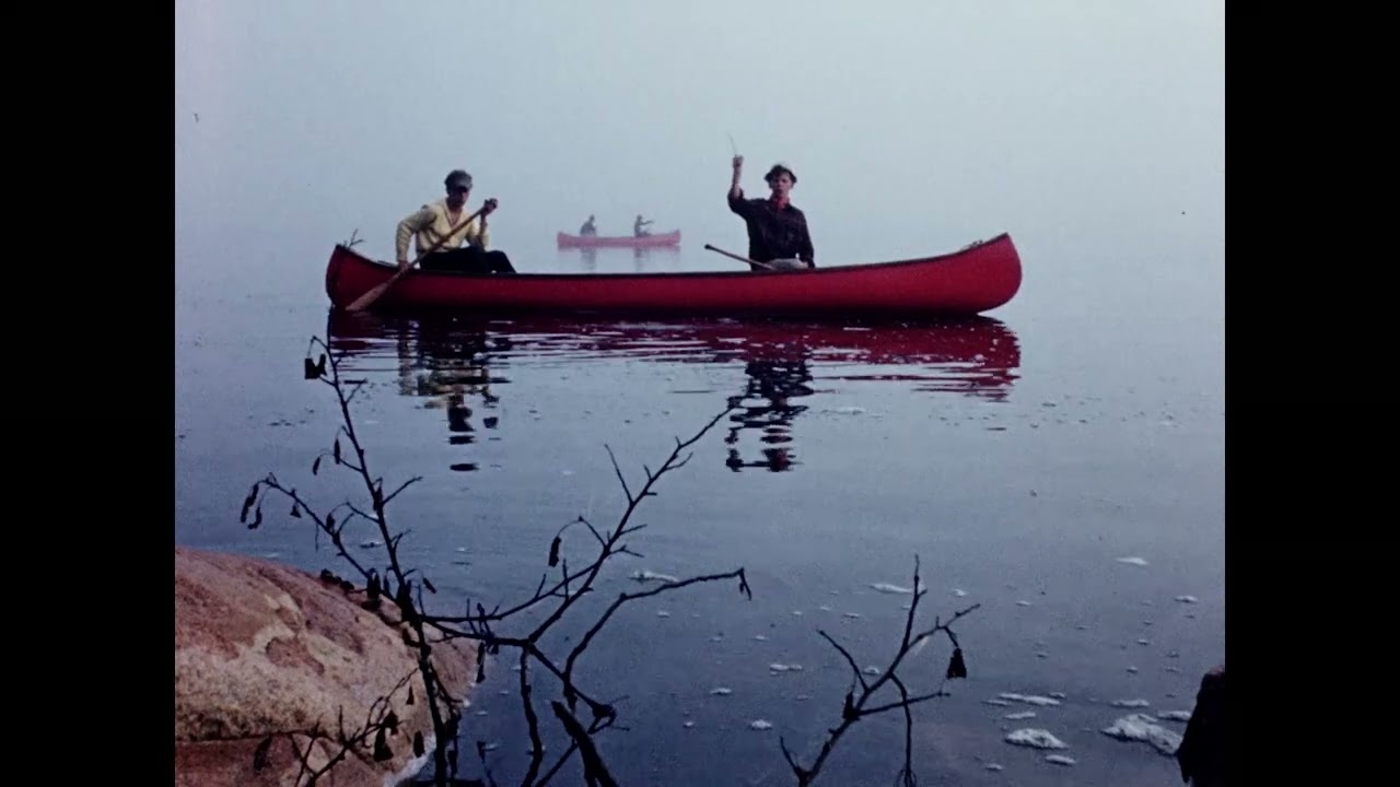On the Shores with Bill Mason