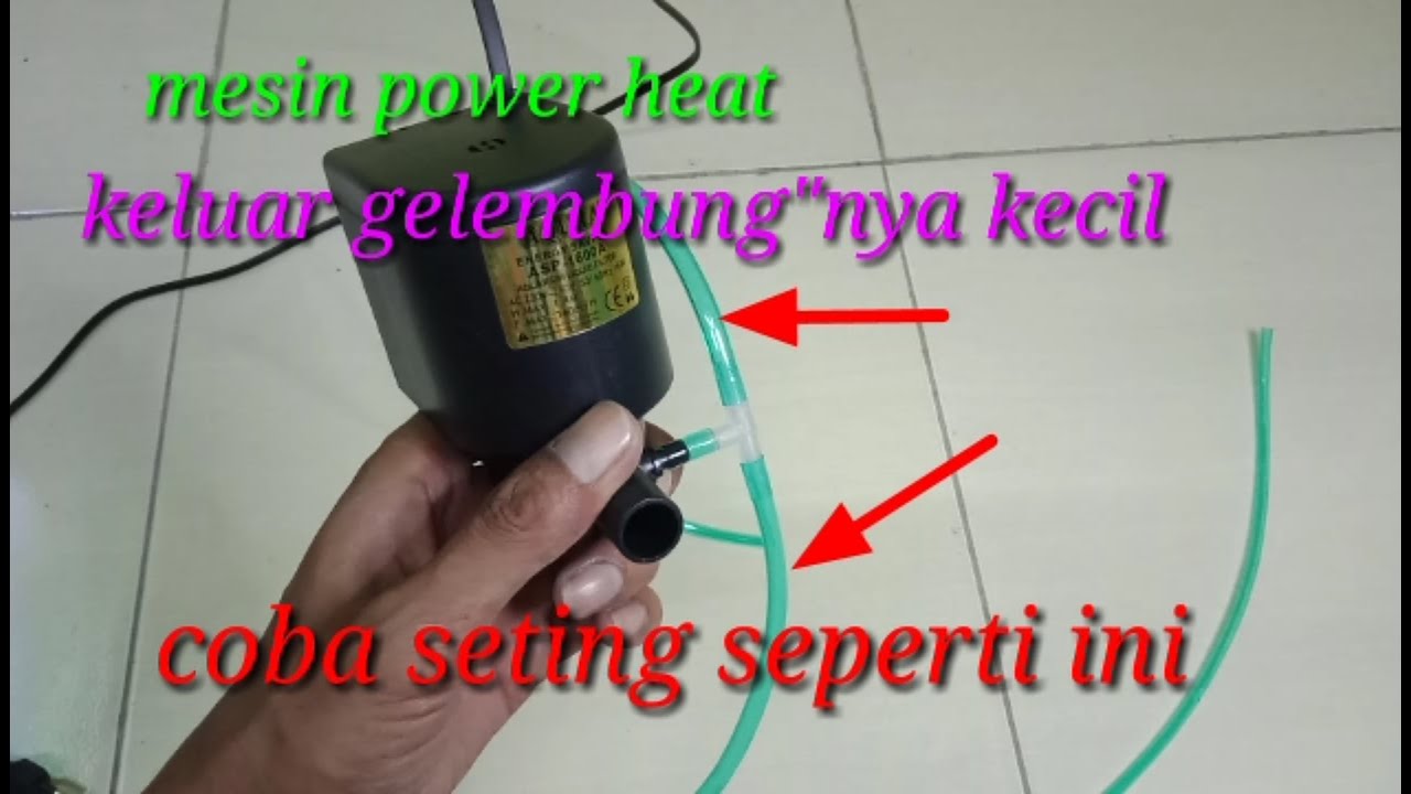 cara membuat gelembung udara aquarium jadi lebih banyak
