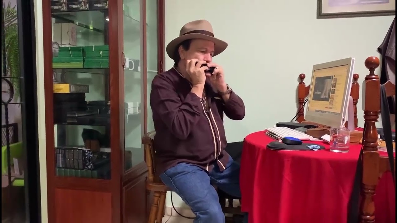 I'd love you to want me | Lobo | Harmonica by Harmonicalf | Improvisation