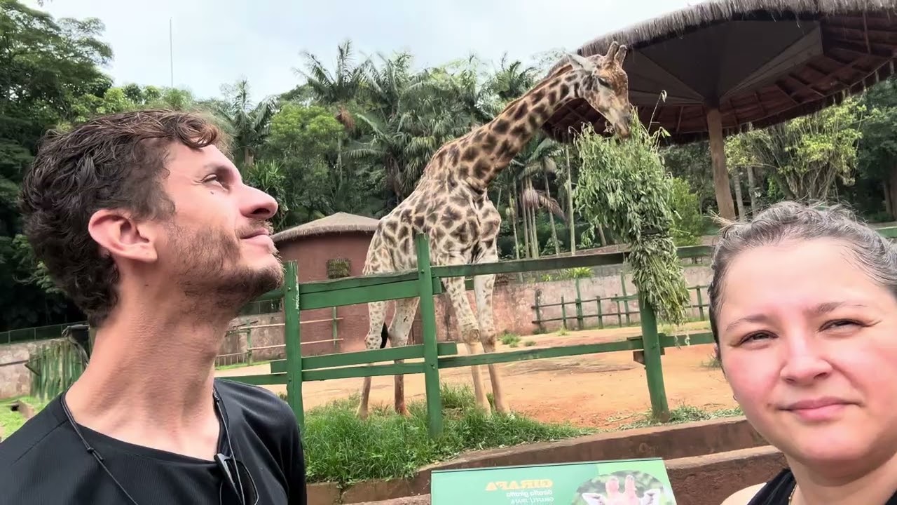 Zoo SP