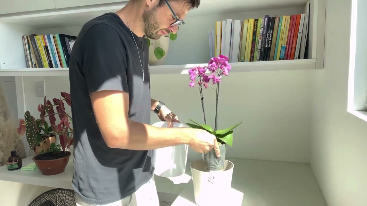 Cachepot para orqu&iacute;dea 18x16cm Fosco - Dhuo Planti&ecirc;