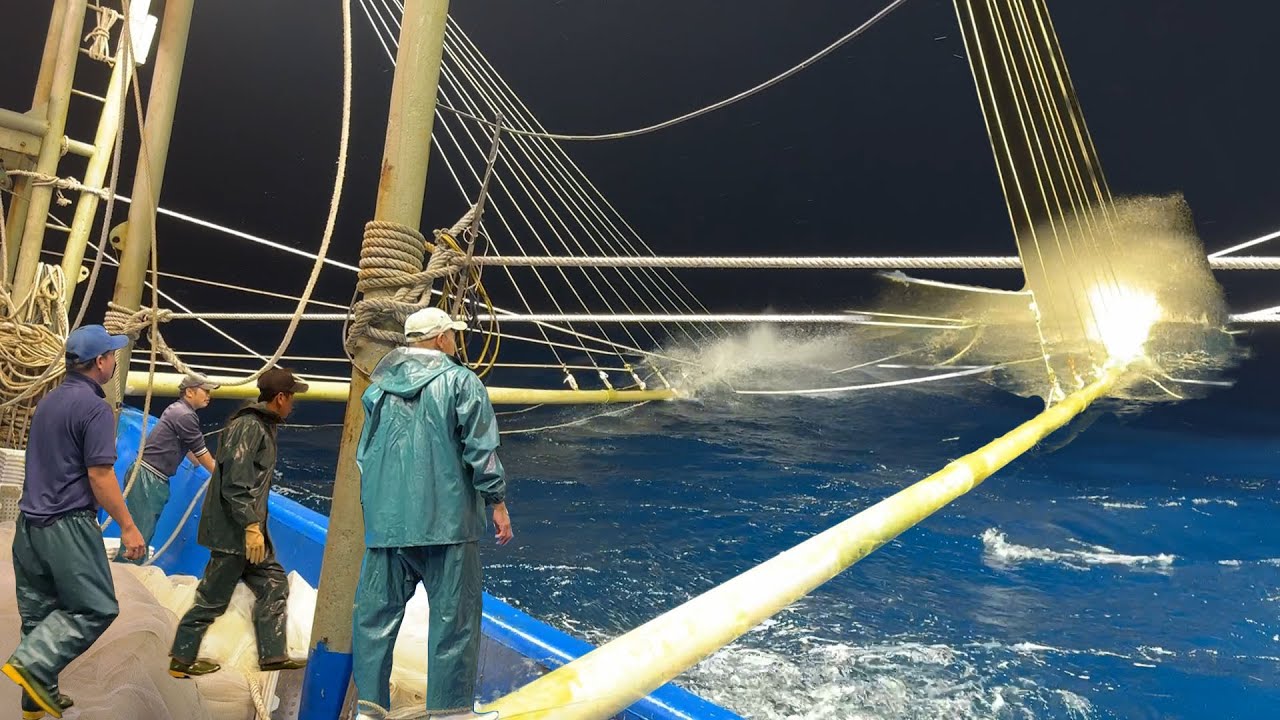 Gió Thổi Săn Bay Cả Người, Xào Chấm Nước Liên Tục,Trời Rét Lạnh