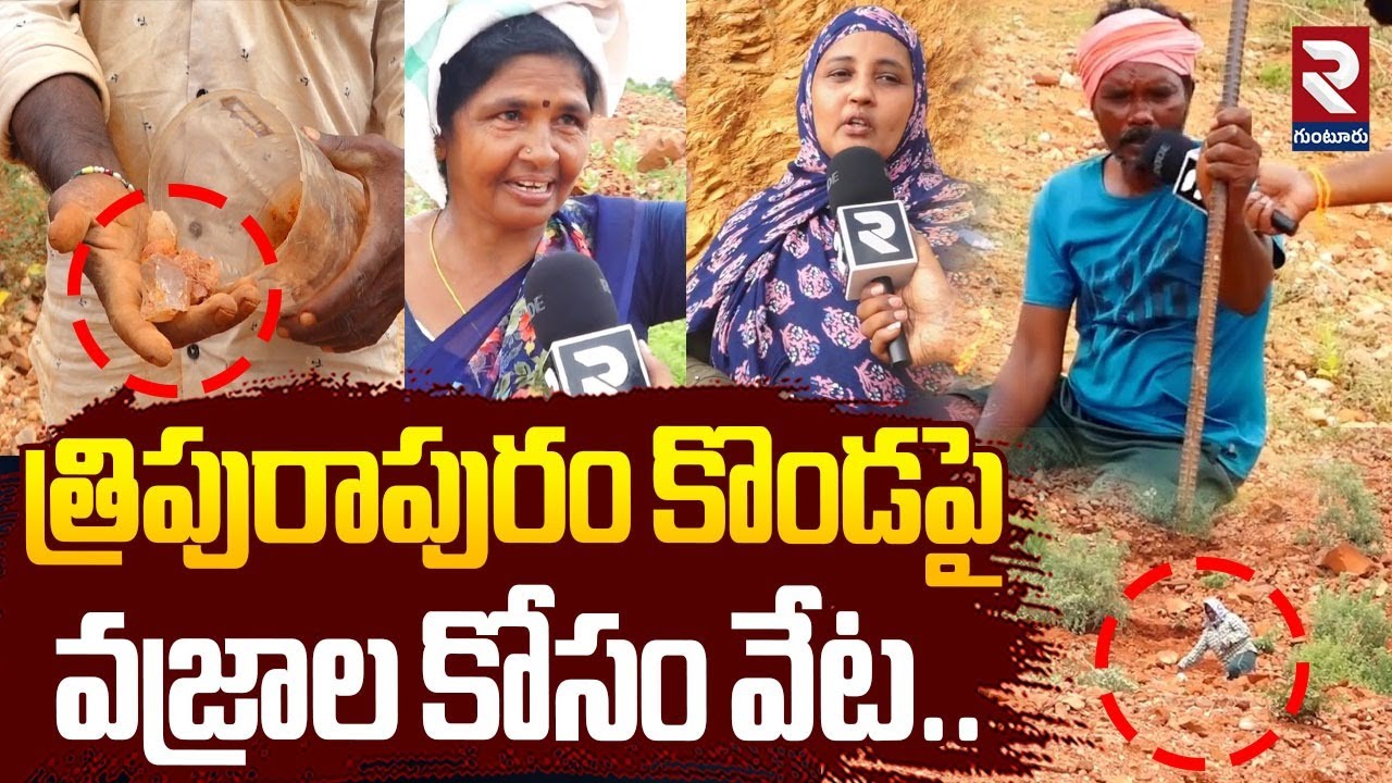 త్రిపురాపురం కొండపై వజ్రాల కోసం వేట.. | People Searching For Diamonds | Tripurapuram |@rtvguntur