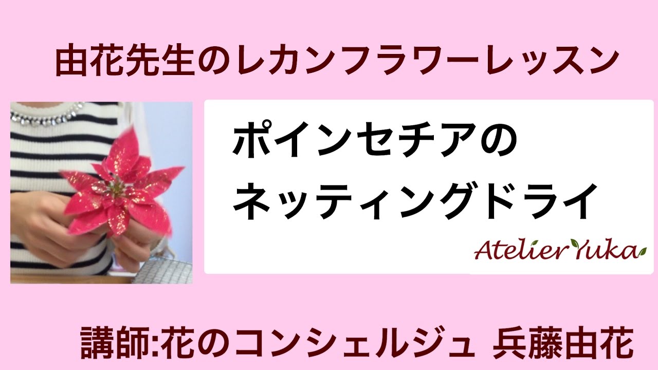 レカンフラワーの作り方｜ポインセチアをドライフラワーにする方法【花のコンシェルジュ兵藤由花】愛知岐阜三重 レカンフラワー教室