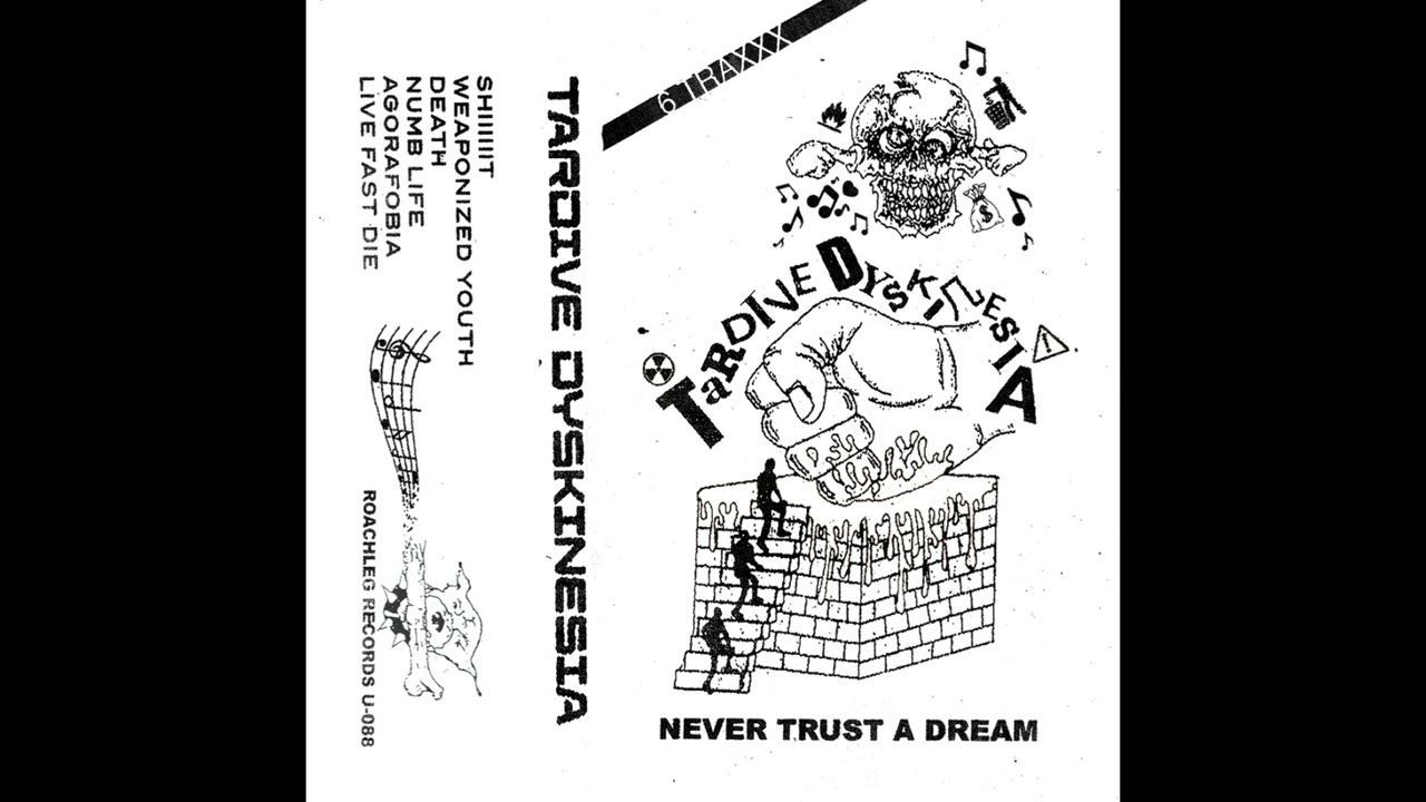 TARDIVE DYSKINESIA - NEVER TRUST A DREAM (2025) | Hardcore Punk / NYHC