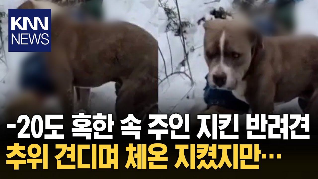 히말라야서 조난 당한 10대 소년 혹한 속 주인 지킨 반려견 '울컥' / KNN
